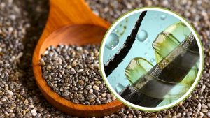 مناسب لأصحاب الشعر الجاف