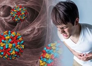 نبذة عن عدوى القىء الشتوي