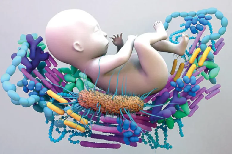 نقص البكتيريا النافعة لدى الأطفال