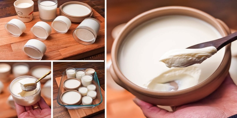 الزبادي العادي بدون سكر