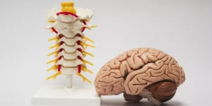 الفحص العصبي