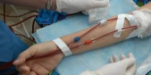 المرحلة الخامسة