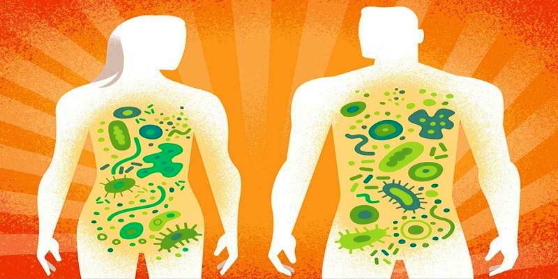 تأثير الأدوية على ميكروبيوم الأمعاء