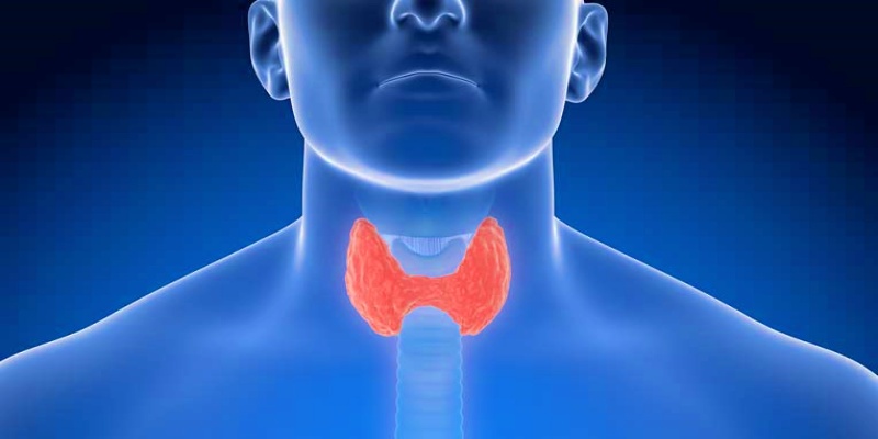 تعريف اضطرابات الغدد الصماء