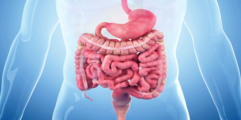 تعريف الاضطرابات الهضمية