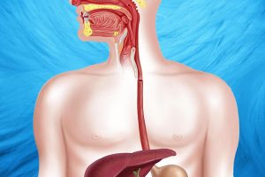 حول دوالي المرىء