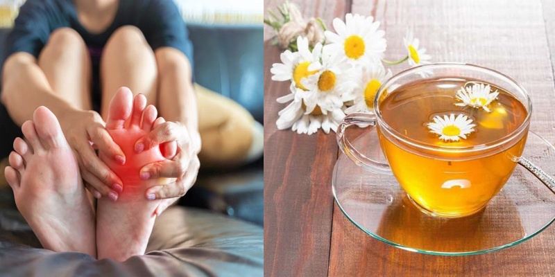 شاي البابونج وتأثيره على حمض اليوريك