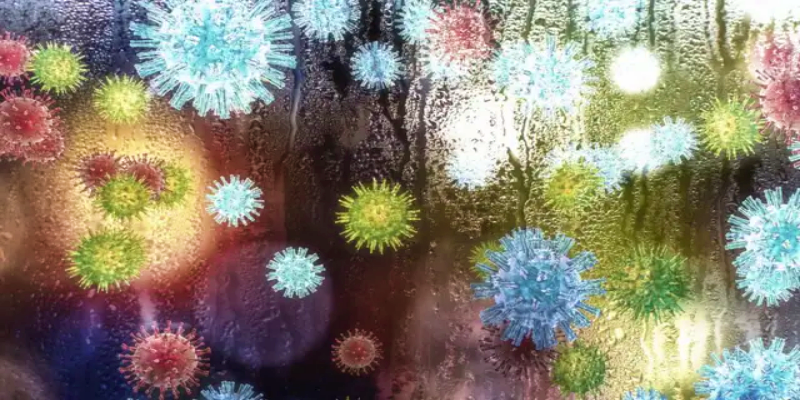 شدة فيروسات البرد