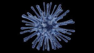 طرق انتقال الفيروس