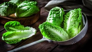 فوائد الخس في الصيام