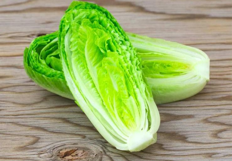 فوائد الخس في وجبة السحور