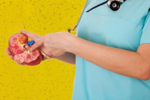 ماذا يعني تكيس الكلى ؟