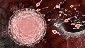 مشكلات الخصوبة