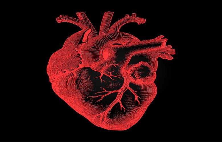 ملاحظات هامة يجب مراعاتها عند الرغبة في التمتع بقلب صحي