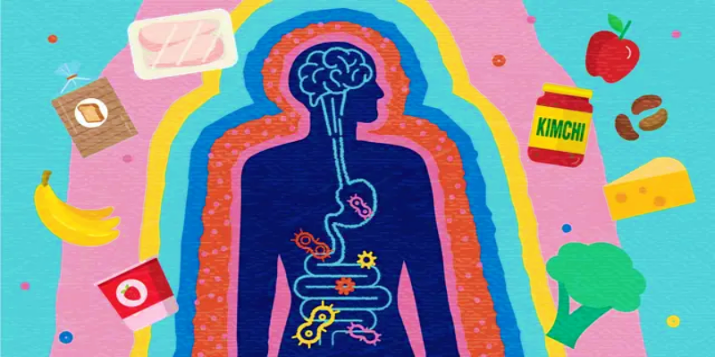 نصائح هامة لحماية صحة الأمعاء