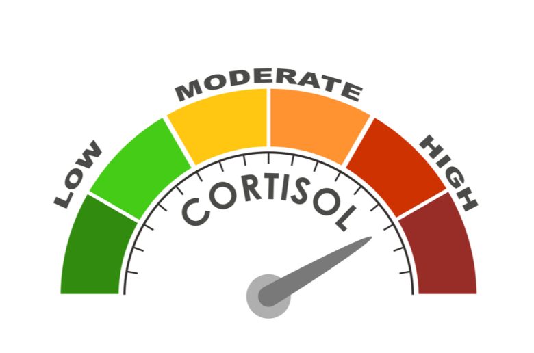 نقص الفيتامينات المؤدي إلى ارتفاع الكورتيزول