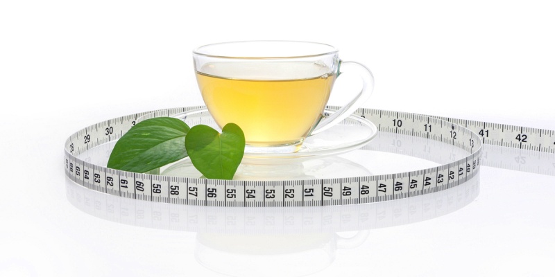 آليات دعم فقدان الوزن لكلا من الشاي الأخضر والماتشا