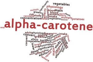 ألفا كاروتين