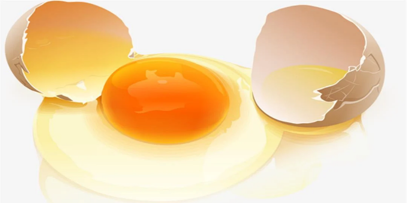 أهمية الصفار على صحة الجسم