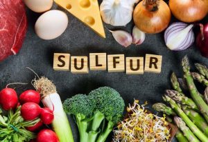 البروتينات الغنية بالكبريت