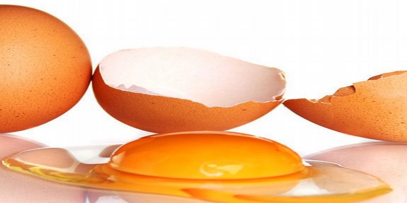 التكوين الغذائي للبيض