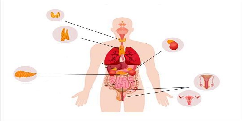 السهر ليلا والمعاناة من اضطرابات الغدد الصماء