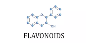 الفلافونويدات