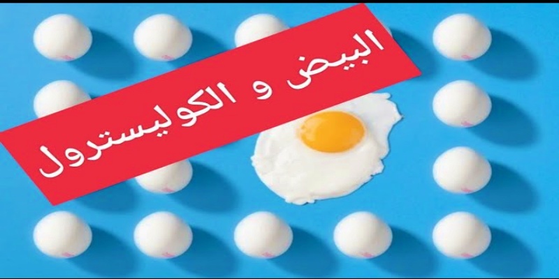 الكوليسترول المتواجد في البيض والآليات الأيضية بداخل الجسم