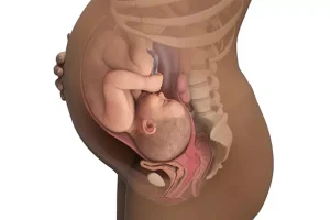 انخفاض مستوى أسفل البطن