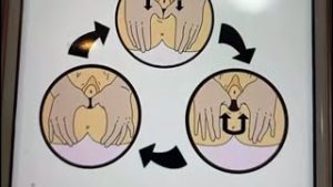 تدليك العجان