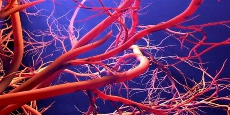 دعم استرخاء الأوعية الدموية