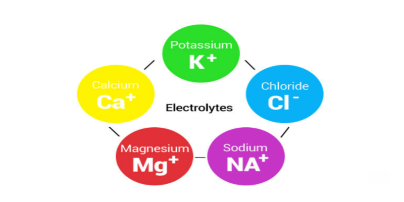 دور الإلكتروليتات داخل الجسم