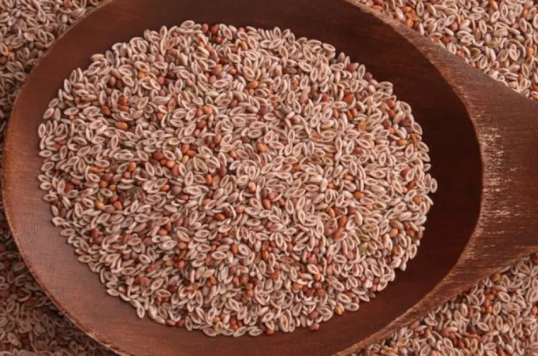 قشور السيلينيوم لخفض مستويات الكوليسترول في الدم