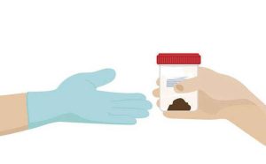 كيفية التمييز بين تحليل الدم والبراز عند تشخيص جرثومة المعدة