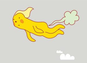 ما مدى صحة ارتباط البروتين بخروج الغازات ؟