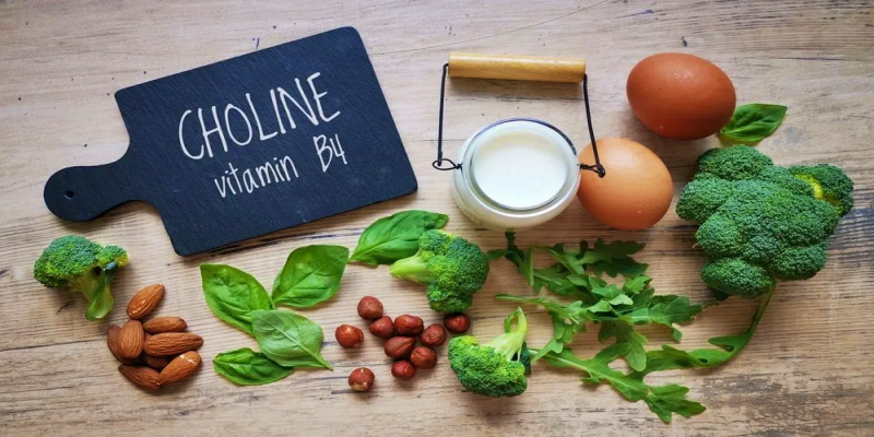 ما هي أفضل المصادر الغذائية التي تتميز بغناها بعنصر الكولين؟