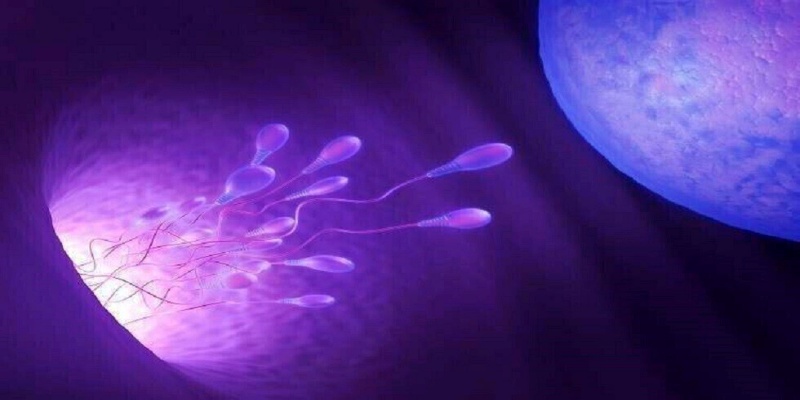 نوبات العمل الليلية والتأثير على الخصوبة