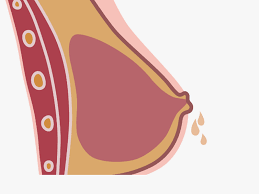 افرازات الحلمة