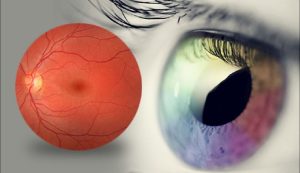 التأثير المستهدف لشبكية العين والعصب البصري