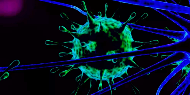 التأثيرات الطبيعية المضادة للالتهاب