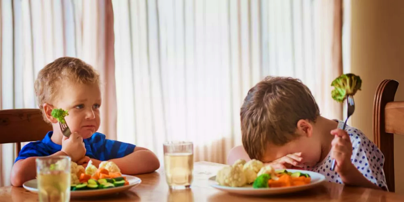 الحصول على العناصر الغذائية من مصادر متنوعة