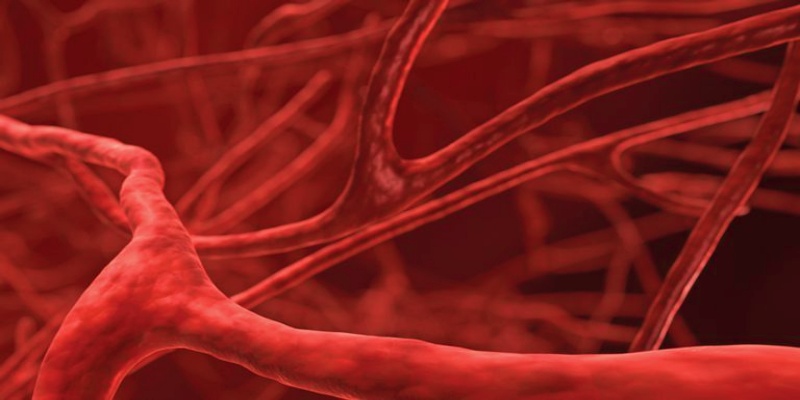 المادة الفعالة NBP وصحة الأوعية الدموية