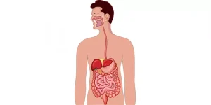 شرب شاي الكركم مع وجبات الطعام لكفاءة الإمتصاص