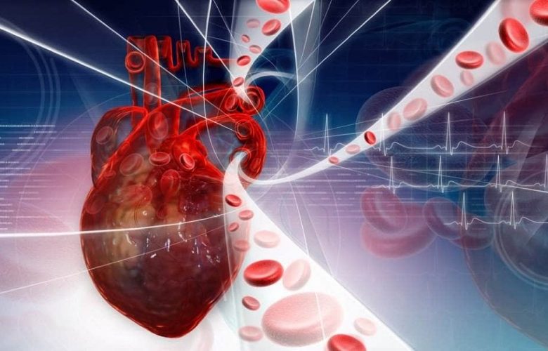 عوامل تزيد من مخاطر الإصابة بأمراض القلب والأوعية الدموية