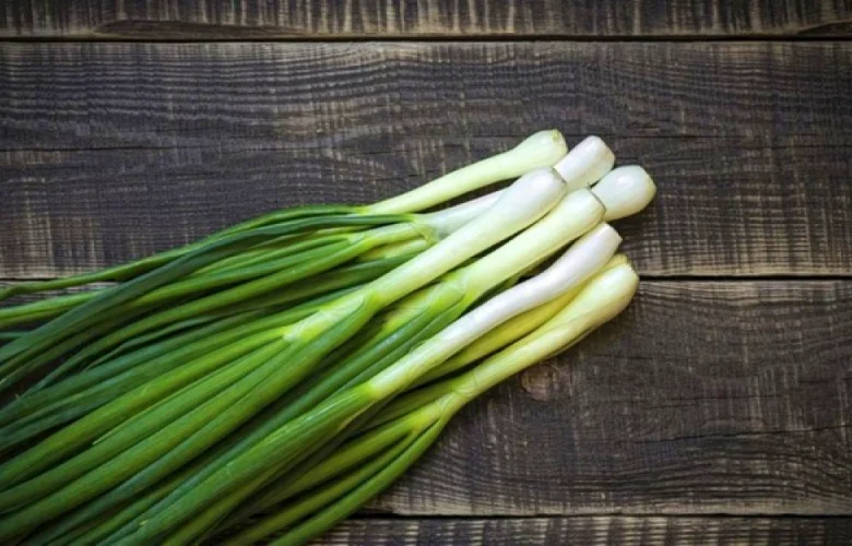 فوائد متنوعة تعود على الجسم عند تناول البصل الأخضر