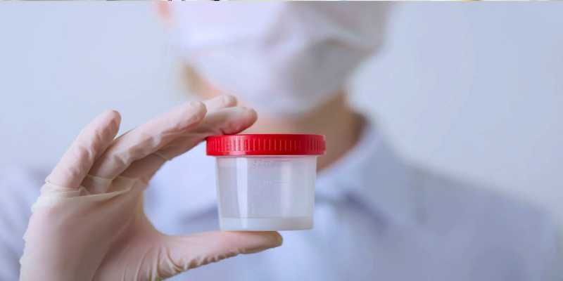 ما هو الفرق بين السائل المنوي والحيوانات المنوية؟