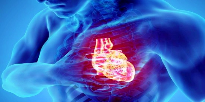 ما هي أهم العوامل التي تزيد من مخاطر الإصابة بأمراض القلب والأوعية الدموية؟