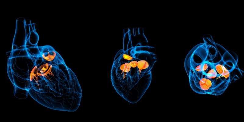 مرض صمامات القلب