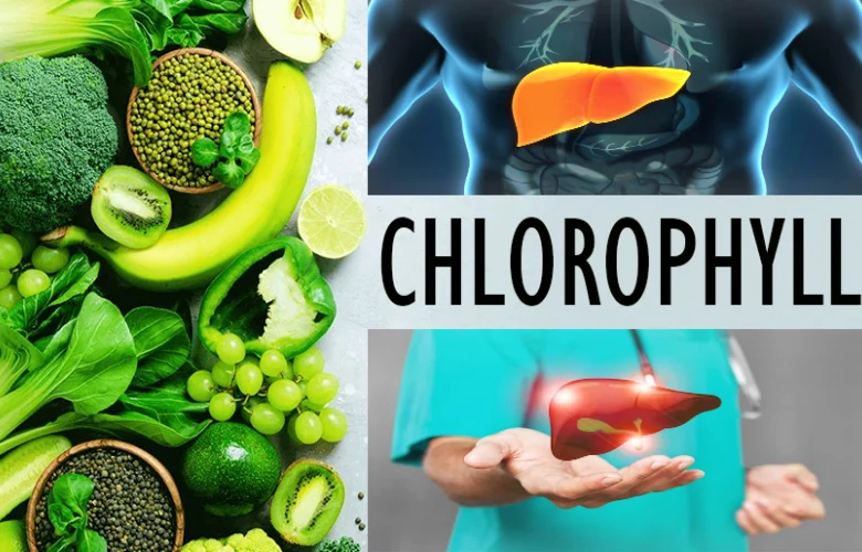 مصادر غذائية غنية بالكلوروفيل لدعم إزالة السموم من الكبد
