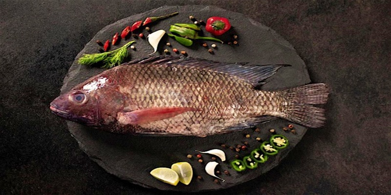 مصدر مثالي&nbsp;للبروتين&nbsp;الخالي من الدهون